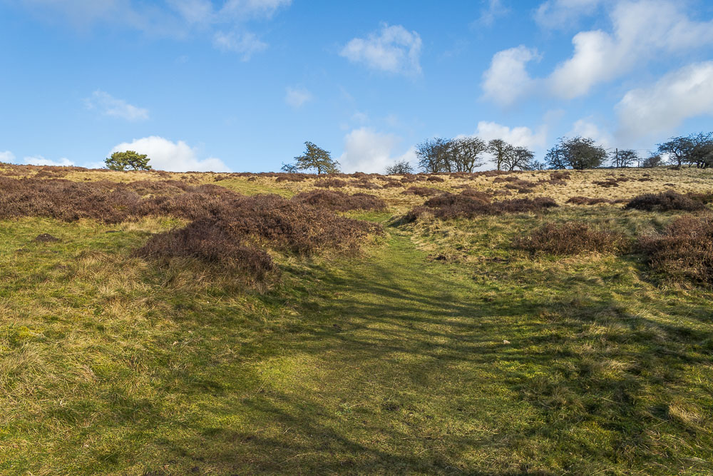 Longstone Moor Longstone Moor